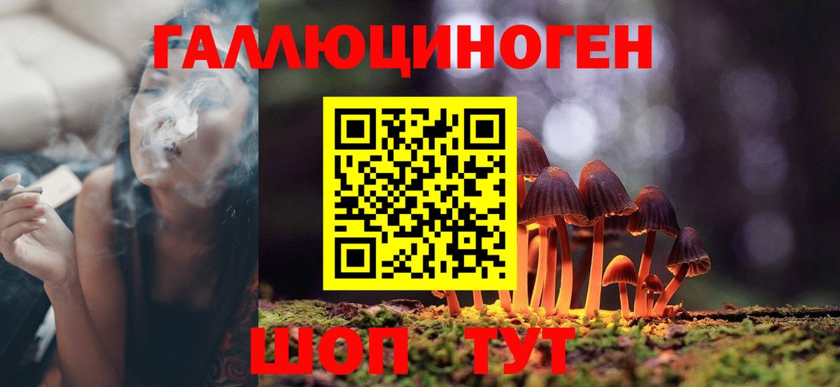 Галлюциногенные грибы прущие грибы  Псилоцибиновые грибы Cubensis  Уварово  Вход с VPN 